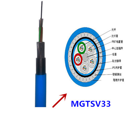 (2)MGTSV33.jpg