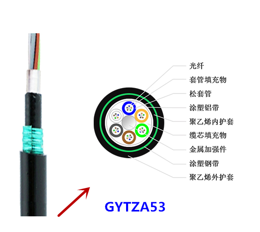 (3)GYTZA53.png